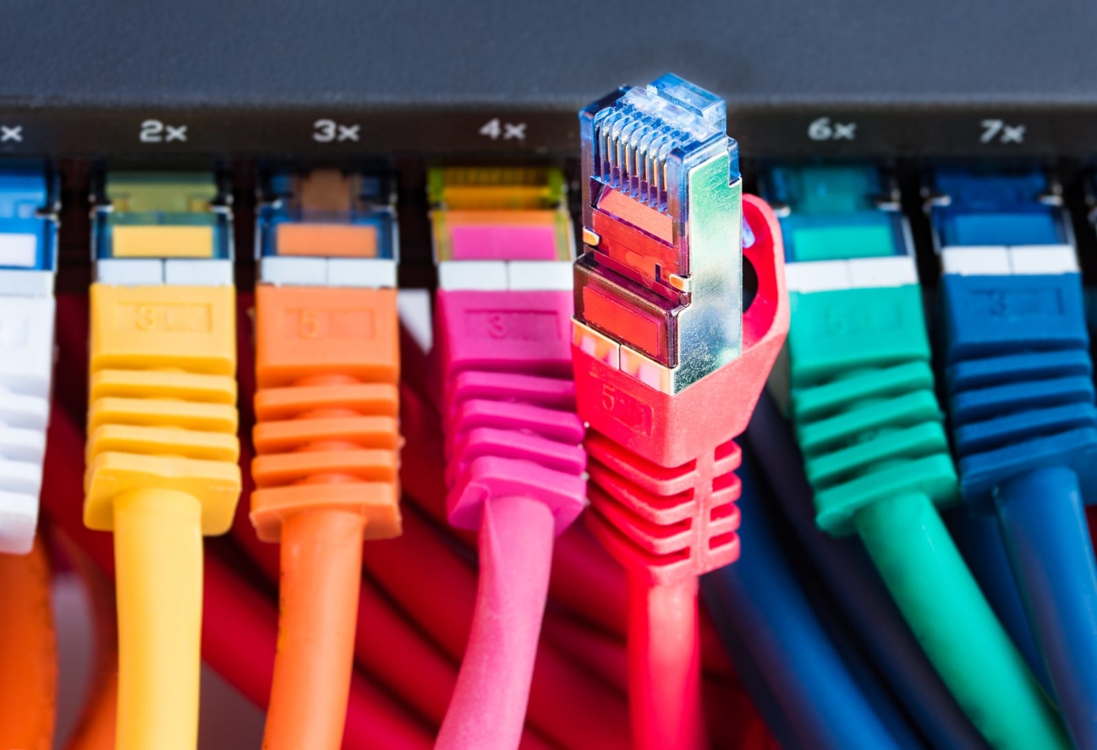 Coloured network patch leads plugged into a switch